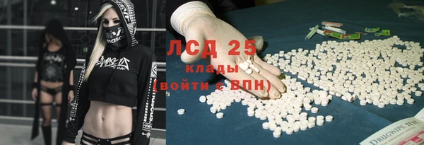 гашик Верея
