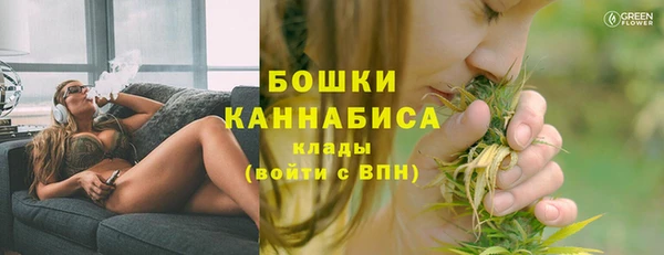гашик Верея