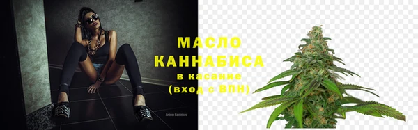 гашик Верея