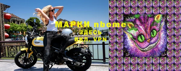 гашик Верея